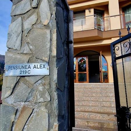 Pensiunea Alex Кейя Экстерьер фото